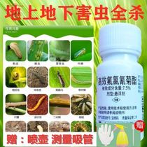 Indoor balcony Gardenia Flowers Rose Potted Plant Happiness Tree Plant Universal Flower Aphid Soil Special Insecticide