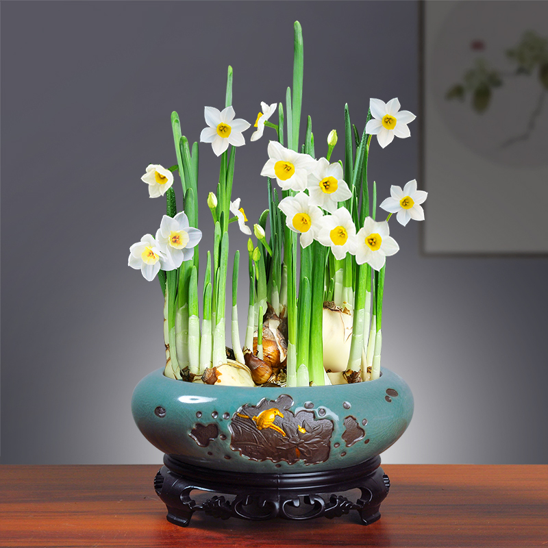 Special ceramic refers to flower pot grass cooper water lily bowl lotus hydroponic contracted creative new product without hole size basin