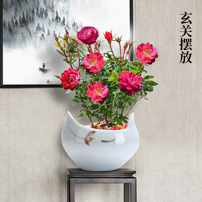 Rose, Rose, special ceramic celadon pot green plant glaze color move contracted Chinese breathable with tray