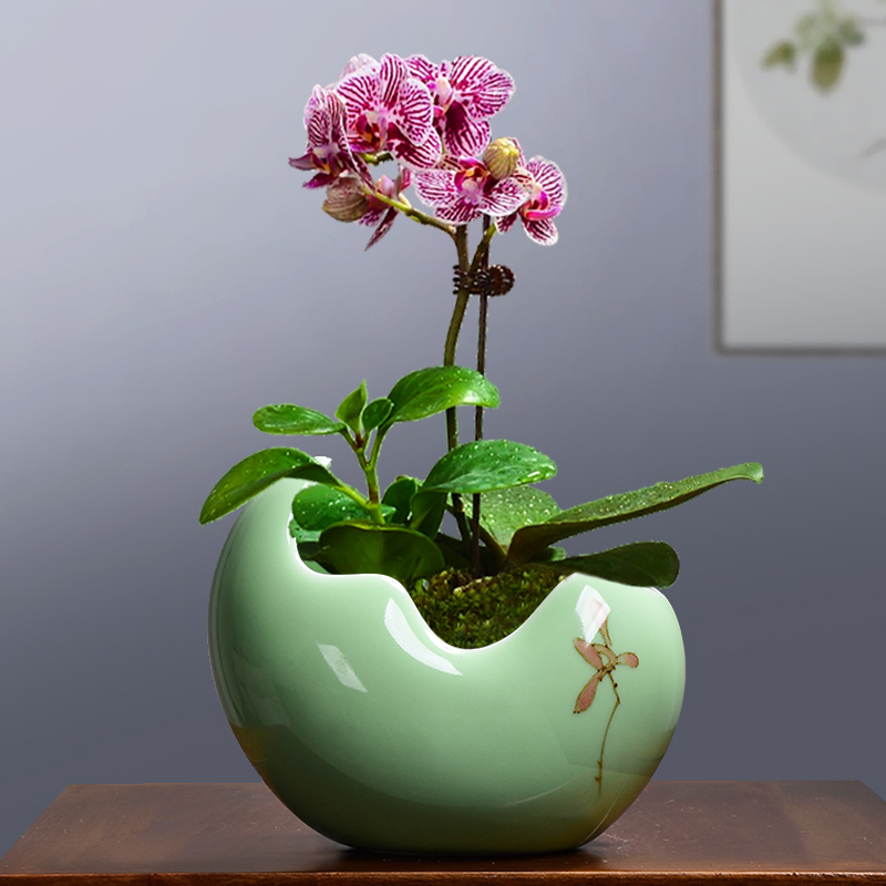 Large ceramic clay containers creative contracted move plant vessel desktop more than other meat copper grass orchid pot