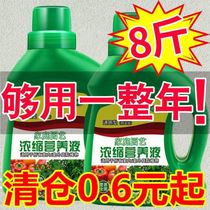 Plant universal nutrient solution universal flower fertilizer potted Brazilian wood green radish succulent flower liquid organic fertilizer