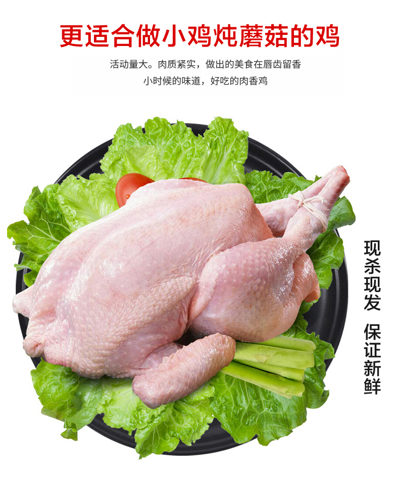 正宗农家散养童子鸡2斤2只