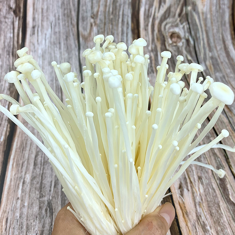fresh enoki mushroom 250g, seasonal mushrooms, cold barbecue vegetables, hot pot, vegetarian dishes, side dishes, spicy ingredients