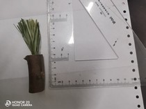 Manufacturer Straight Hair Apple Branches Timoi Grass Grinding Tooth Toy Rabbit Dragon Cat Dutch Pig Hamster Universal 100 Cups