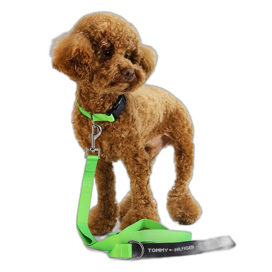 Korean Direct Mail TOMMY HILFIGER PET Pet Clothing and Accessories T12D7APA870MT3LWY
Korean Direct Mail TOMMY HILFIGER PET Pet Clothing and Accessories T12D7APA870MT3LWY