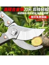 2018 New cutting tools flower scissors gardening pruning extra pruning shears flowers stainless steel cutting branches and grass