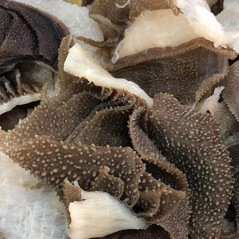毛肚边角料5斤装牛百叶肚头丝丝千层牛肚头火锅食材牛肚肚头边角