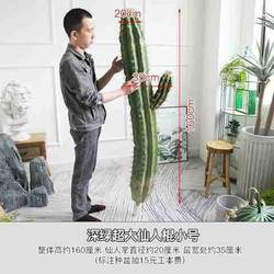 Nordic simulated cactus plant, large floor-standing cactus, tropical desert green plant, large amount of sky ruler ball decoration