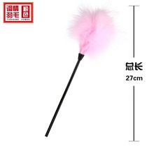 Love Interest supplies Feather Flirto with Itchy Picks Up Front Play Toy Multicolored Optional Couple Flirto sm