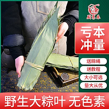 【签到稳定】家用天然野生大号粽子叶100片[1元优惠券]-寻折猪