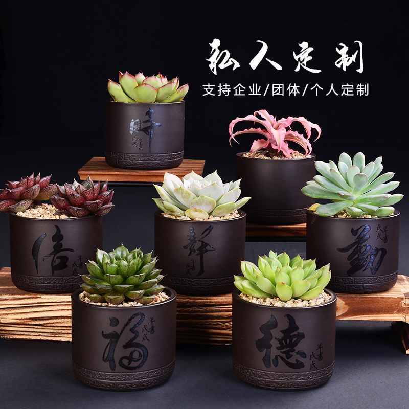 Fleshy flower pot in creative ceramic custom engraving LOGO text breathable contracted the desktop, the plants potted violet arenaceous basin