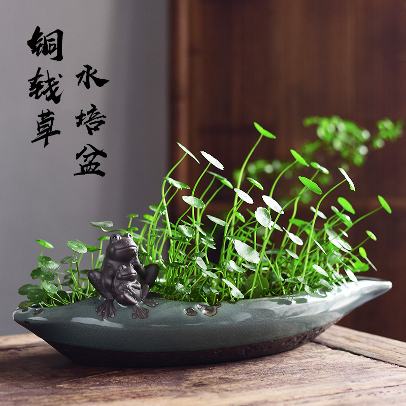 Elder brother up with contracted fleshy grass cooper refers to flower POTS of creative move nonporous hydroponic lucky bamboo leaf ceramic POTS