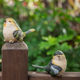 Garden courtyard decoration simulation bird decoration resin animal crafts fake bird living room desktop home gardening Garden courtyard decoration simulation bird decoration resin animal crafts fake bird living room desktop home gardening