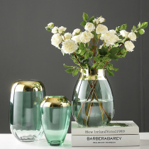 Modern simple light luxury glass vase ornaments Nordic creative living room dining table Transparent water flower arrangement Flower vase