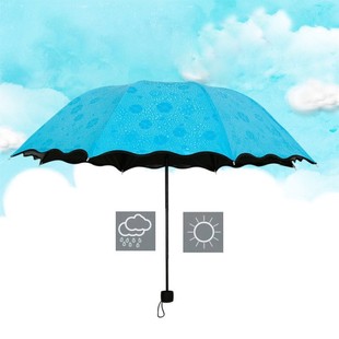 晴雨伞女折叠两用遮阳伞创意遇水开花广告雨伞防晒防紫外线太阳伞
