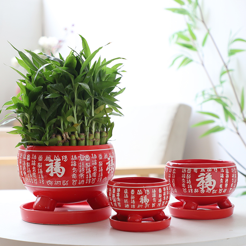 Chinese red ave flowerpot ceramic indoor large - sized belt tray bracketplant individuality creative contracted more than other meat flowerpot