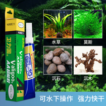 Guard Water Grass Glue Grass Special Fish Tank Building Transparent Aa Super Energy Gel Gel Gel Gel Gel Gel Water Grass Moss Coral Stone Head Moss Wood Cuckoo Roots Fake Mountains Powerful Non-Toxic Long Hair Glue