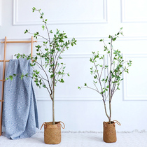 Thai ring Japanese Nordic style simulation Tsubaki tree net red green plant floor potted indoor living room clothing store decoration