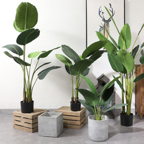 Thai ring simulation traveler banana plant large Nordic home living room decoration Floor-to-ceiling potted interior decoration ornaments