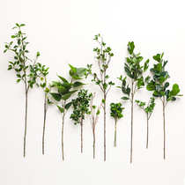 Taihuan film feel high simulation green plant Milan leaf egg leaf single fake flower home living room decoration