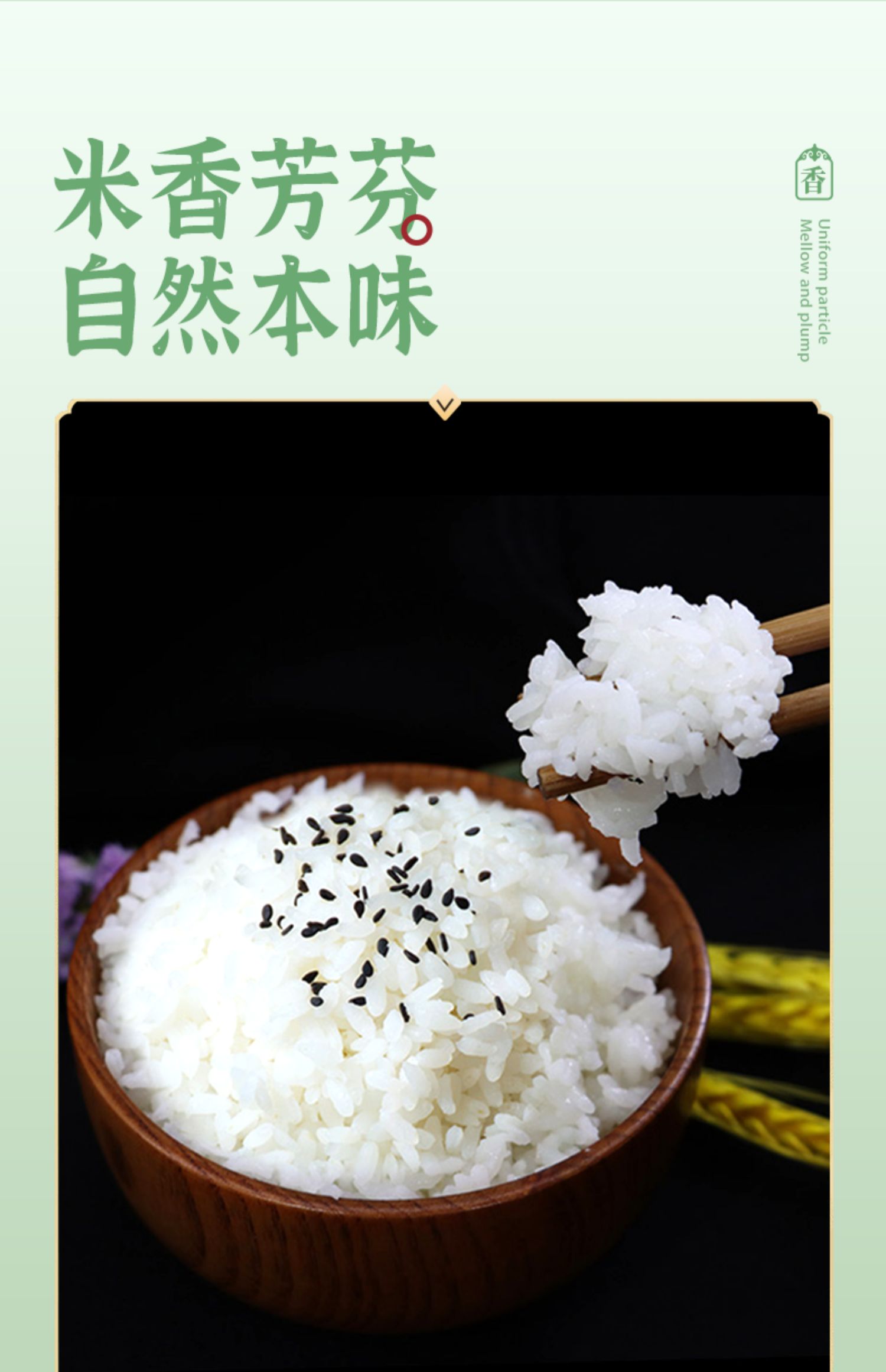 【新米】绿色内蒙长粒香米5斤