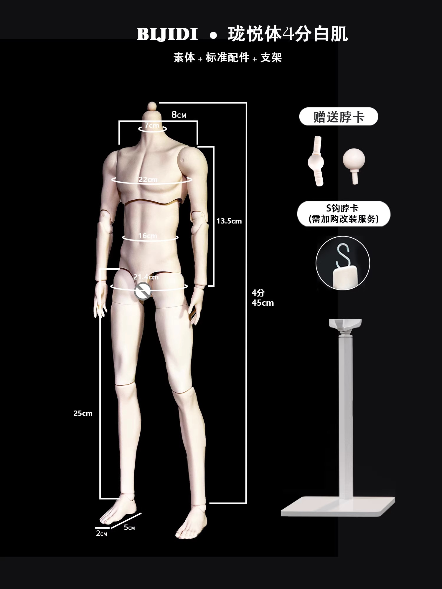 人体模型 豪华型人体骨骼模型| 1020176 | A13 | 全副骨骼架模型| 3B