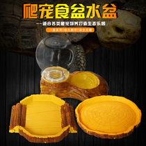 Tortoise reptile basin lizard automatic drinking fountain drinking water radiating green iguana Spider snake tree frog crawling pet basin water plate