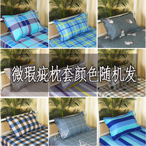 40*60cm Envelope Pillowcase on a first-come-first-served basis while stocks last