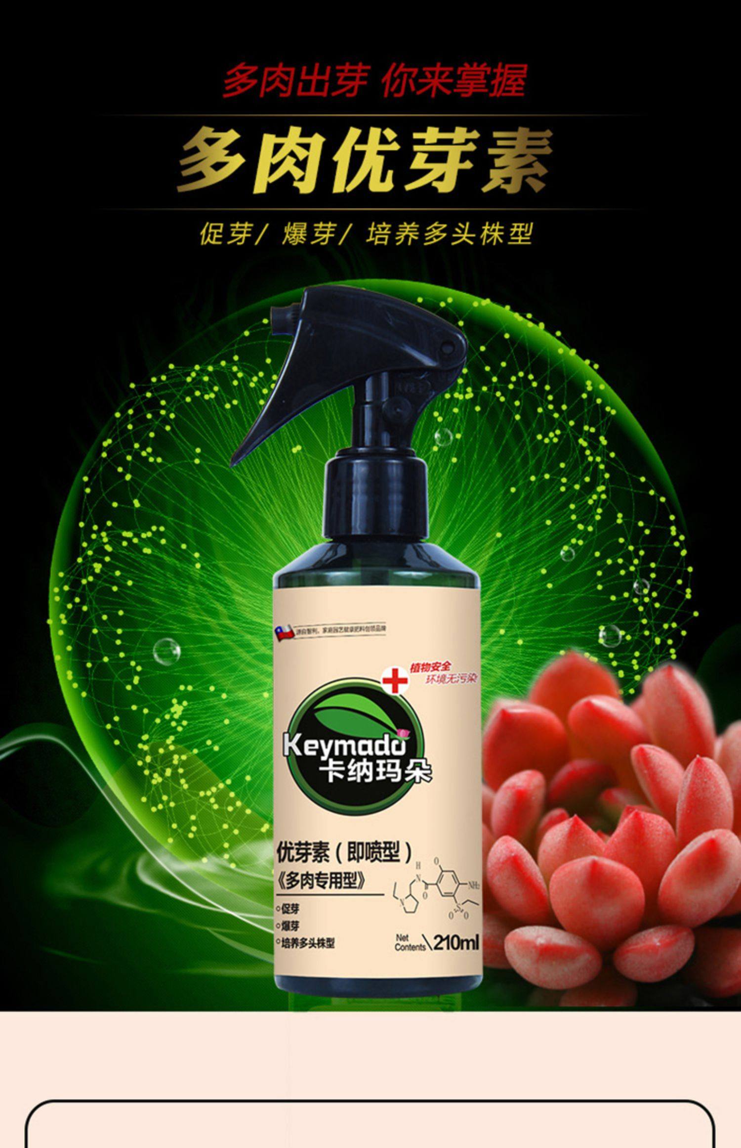 卡纳玛朵多肉植物爆芽素爆侧芽细胞分裂素激素促花芽花卉生长素_折喵