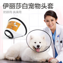 Collar Cat collar Anti-licking protection collar for cats and dogs After surgery Pet collar Golden retriever headgear collar