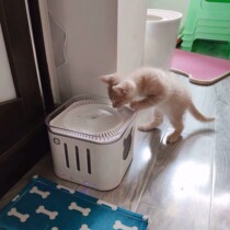 Cat water dispenser water feeder automatic circulation pet automatic sensing radar smart dog silent water drinking artifact
