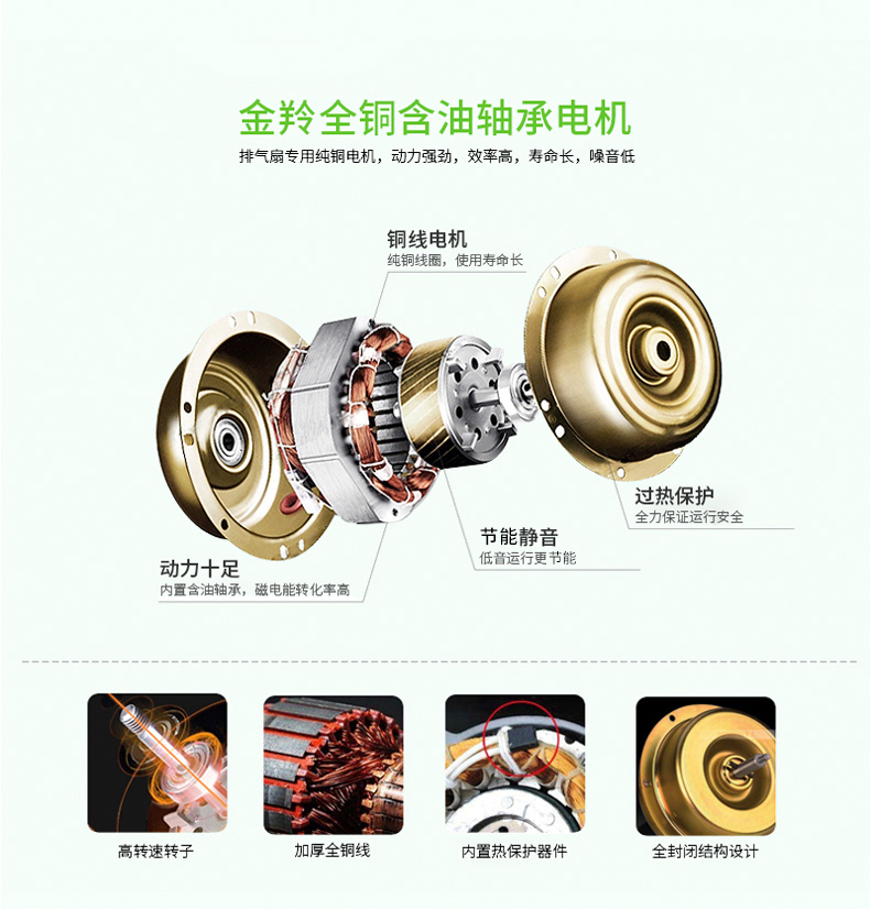 【换气扇】金羚排气扇换气扇 排风扇卫生间厨房10寸吸顶式抽