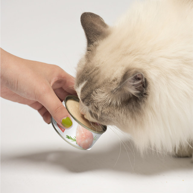 Dr. Cat Canned mousse Naigao kittens from weaning period pregnant cat canned cat fattening elderly nutrition 85g * 6 cans Dr. Cat Canned mousse Naigao kittens from weaning period pregnant cat canned cat fattening elderly nutrition 85g * 6 cans