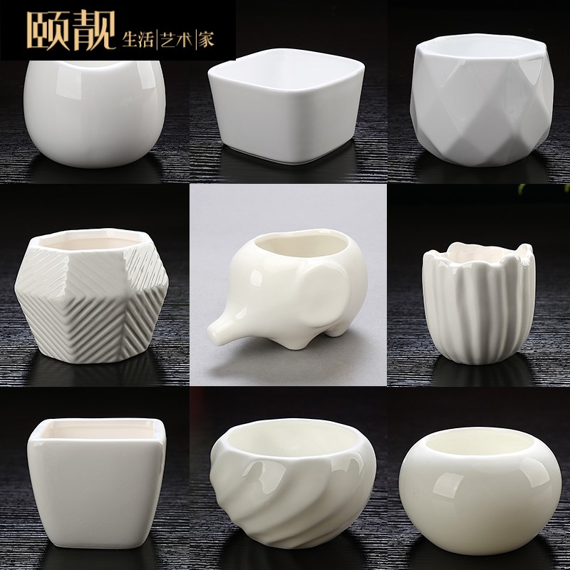 Express cartoon of fleshy flower pot the plants white ceramic creative contracted a rectangle special offer a clearance package mail