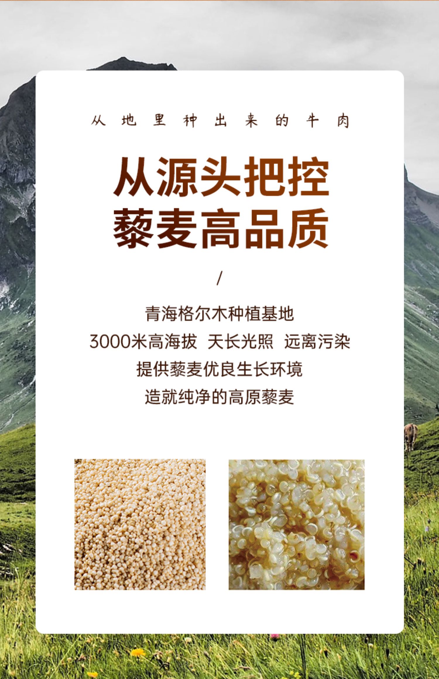 鄱阳湖白藜麦米早餐粥米杂粮450g