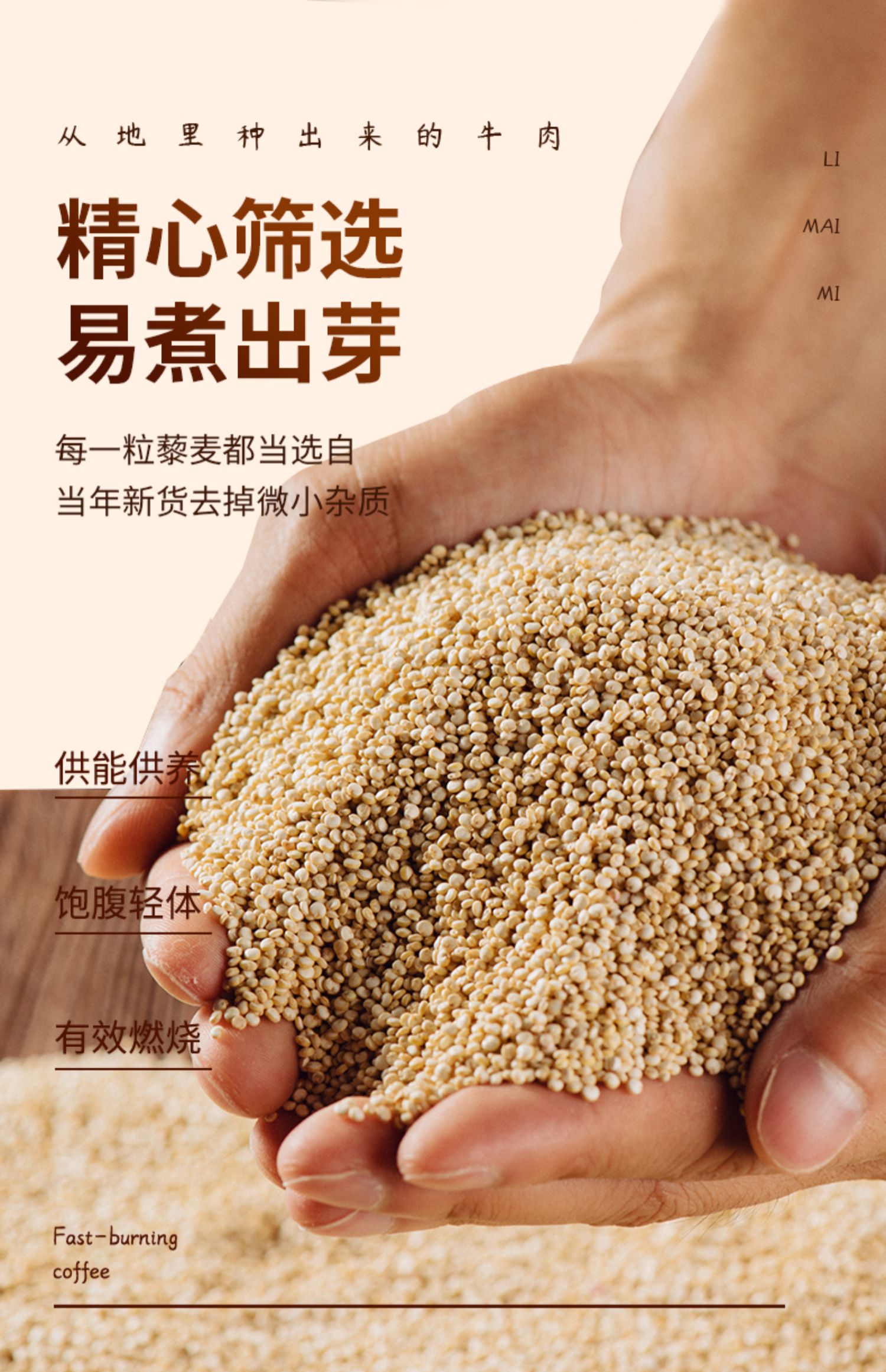 鄱阳湖白藜麦米早餐粥米杂粮450g