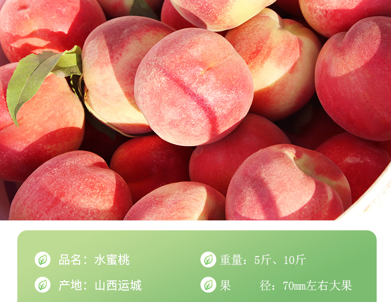 品名:水蜜桃重量:5斤、10斤产地:山西运城果径:70m左右大果-推好价 | 品质生活 精选好价