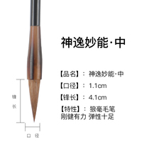 Wolf brush large medium and small set for beginners