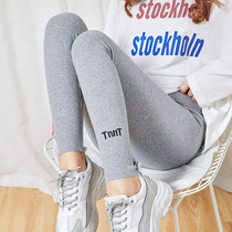Pure cotton gray leggings womens spring and autumn wear high waist thin section thin threaded large size tight all-match pants