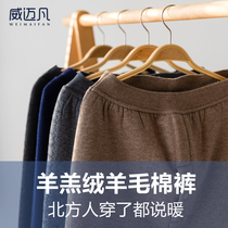 (Picking up leaks) wool pants mens warm pants thickened and velvet womens line pants middle-aged and elderly high-waist lamb velvet cotton pants winter