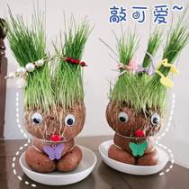 DIY office mini plant doll green grass copper money grass desktop small potted grass head green love grass