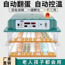 Incubator intelligent incubator automatic small water bed incubator household chicken duck goose pigeon quail egg incubator