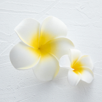 Size 2 plumpflower photo props headwear floral headdress jewelry shooting props decoration background beach small ornaments gourmet jewelry photo decoration