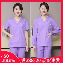 Jane Fei Love Korean version of violet hand washing clothes female dentist nurse confinement club sister-in-law work clothes suit