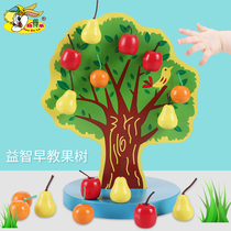 Children's wooden magnetic apple treasure number game happy orchard children teach puzzle number toys early