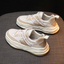 Pine thick sole small white shoes children 2022 new in tide dissolves female leather autumn sports leisure plate shoes