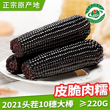 新鲜黑玉米现摘甜糯玉米2200g[5元优惠券]-寻折猪