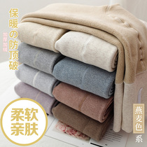 Japan cotton high waist beating bottom pants female plus suede thickened autumn and winter outside wearing stomatpants integrated pantyhose oat white even