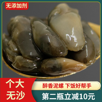 Intoxicating Clay Snail Ready-to-eat Canned Yellow Clay Snail New Live Extra-sand Ningbo Seafood Boat Mountain Special