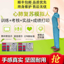 Cardiopulmonary Resuscitation Mimic Artificial Respiratory Medicine Used Dummy Cardiac Resuscitation First Aid Training Human Teaching Models